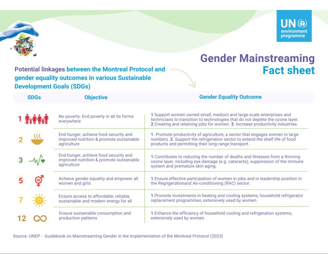 UNEP Promotes Gender-Inclusive Policies in the Global RAC Sector