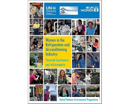 Women in the Refrigeration and Air-conditioning Industry: Personal Experiences and Achievements