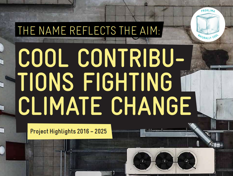 C4 Project Marks 10 Years Advancing Climate-Friendly Cooling