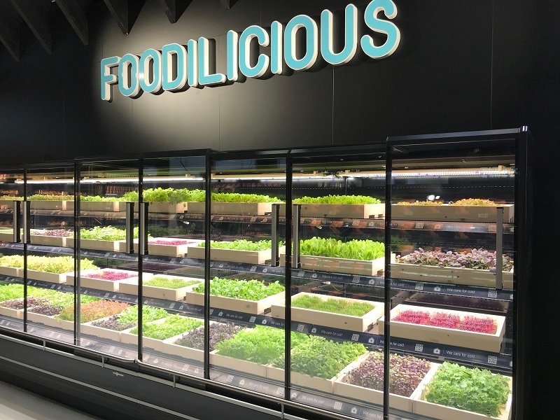 Viessmann is offering refrigeration solutions at EuroShop
