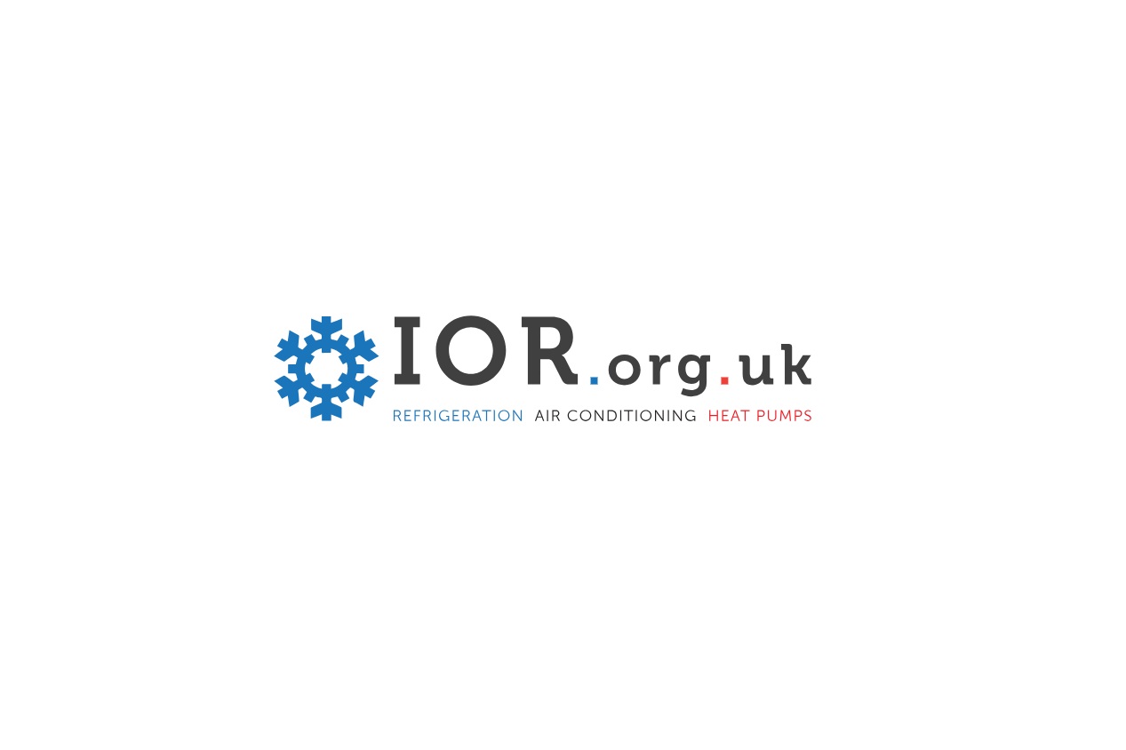 IOR Women in RACHP Network Celebrates Its 10th Anniversary