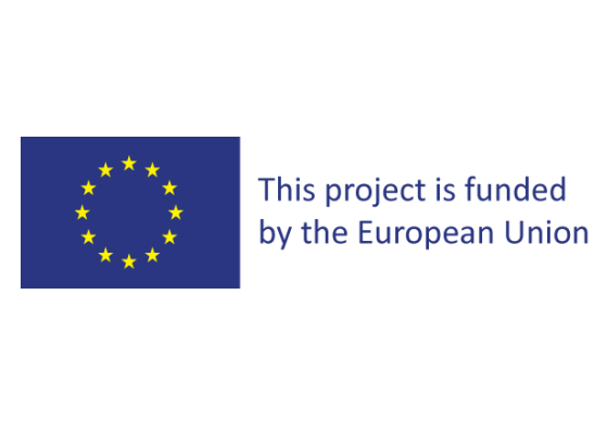 The results from EEPLIANT2 inspection and testing activities reveal high levels of noncompliance