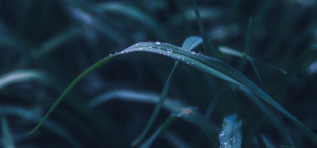 Characteristics, advantages and applications of CO2