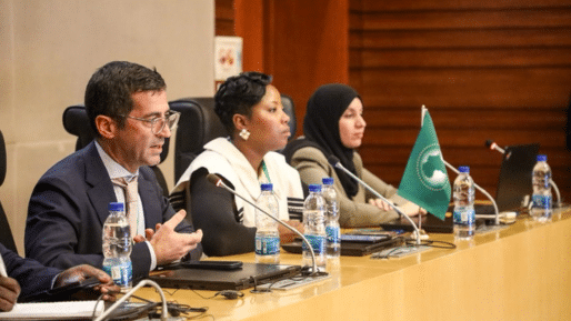 UNEP-U4E highlights appliance efficiency progress at African energy conference