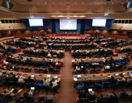 IIR Advocates for Sustainable Refrigeration at COP13/MOP36 and COP29