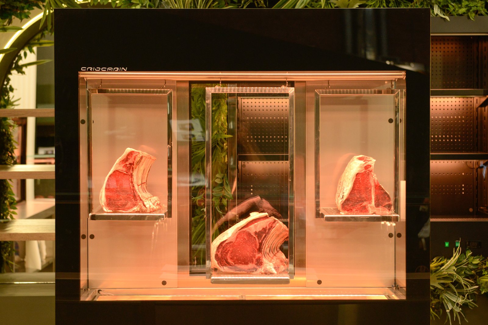 Criocabin Celebrates 40 Years of Excellence in Commercial Refrigeration