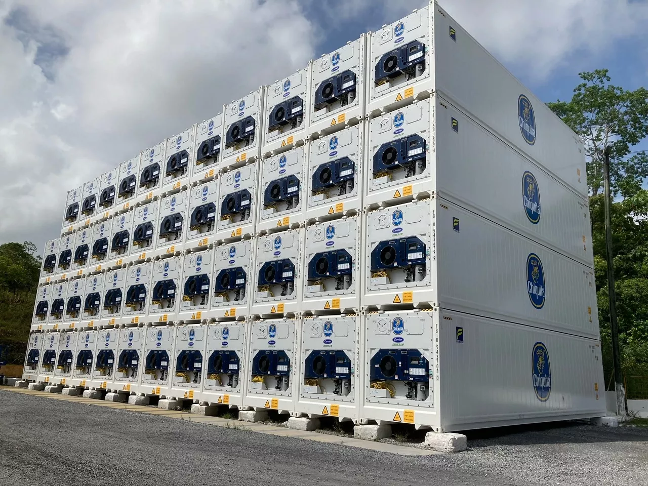 Chiquita’s Great White Fleet Increases Investment in Carrier Transicold’s PrimeLINE Container Refrigeration Units