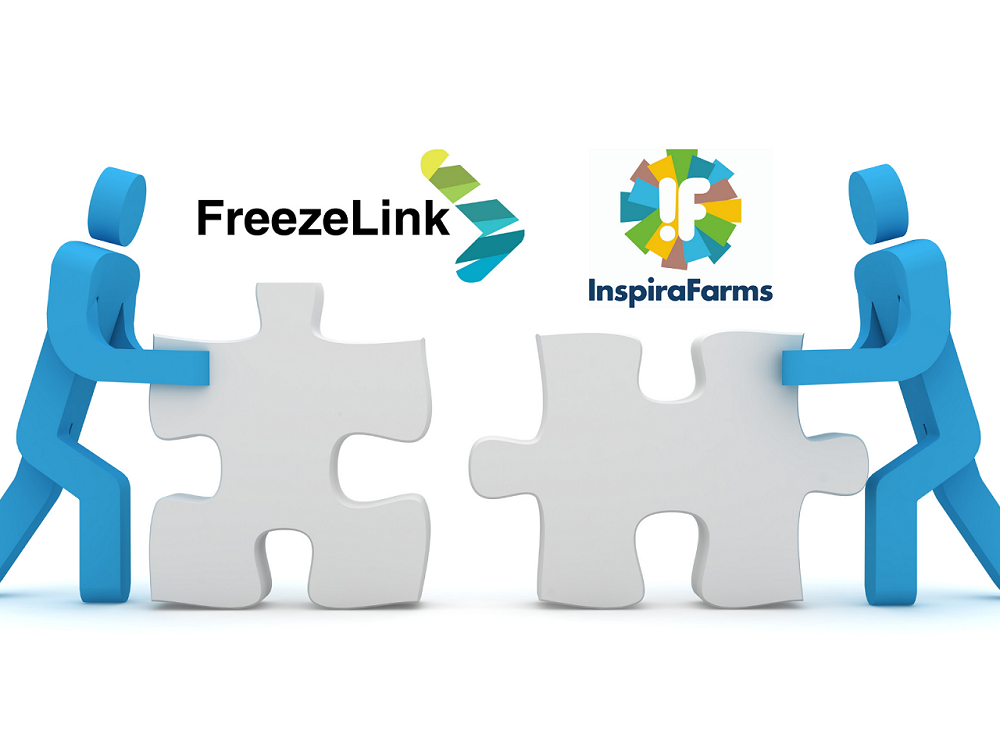 InspiraFarms and  FreezeLink aim to build fresh produce cold chain in  Ghana