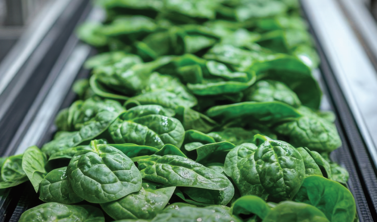Building Resilient Food Systems: The Role of Agricultural Value Chains in Feeding the Future