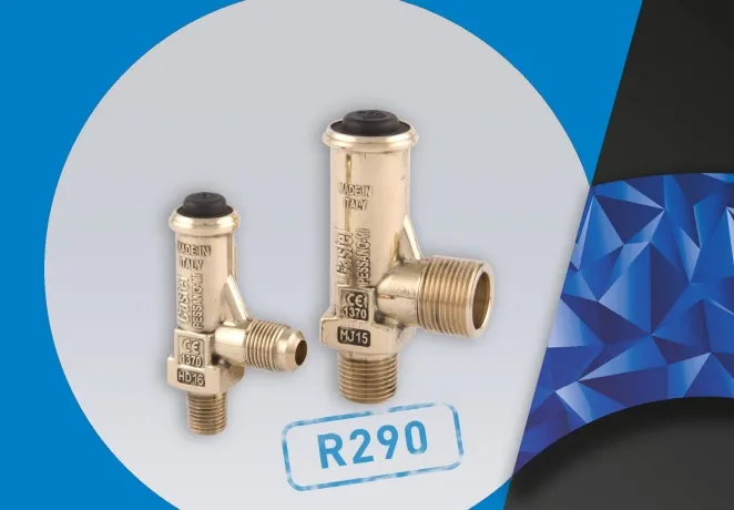 Castel Expands POLYHEDRA Range with New 3060 Series Safety Valves