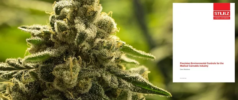 STULZ Publishes White Paper for Engineers Designing Cannabis Grow Rooms