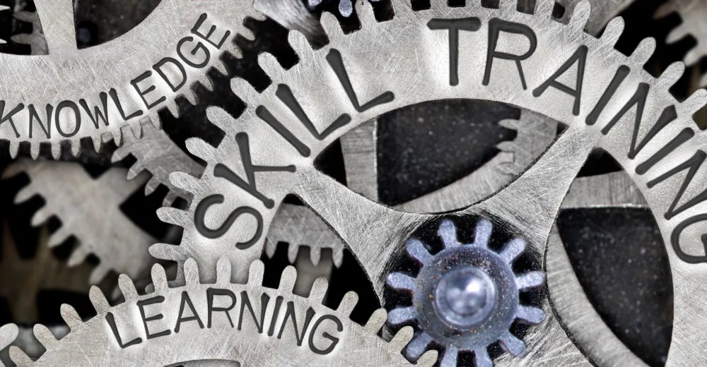 IOR Launches Online Skills and Talent Hub