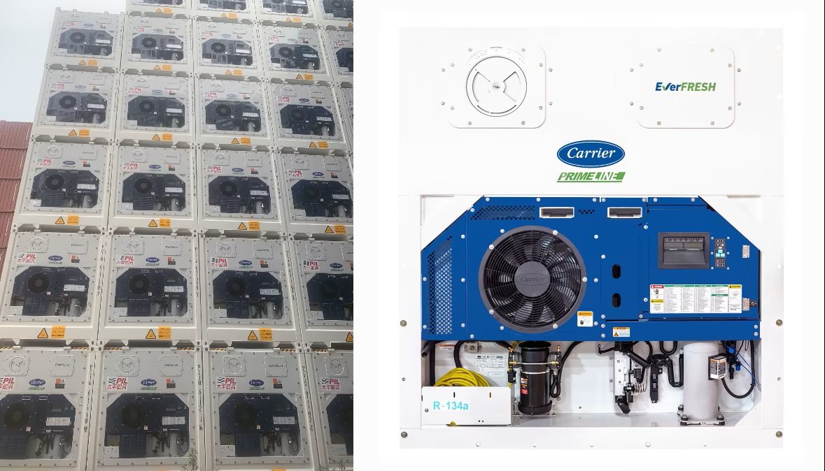 Carrier Transicold Helps PIL Shipping Capabilities with PrimeLINE and EverFRESH-Refrigerated Containers