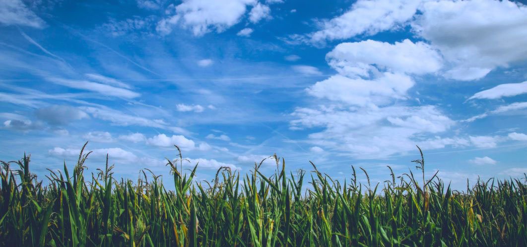 Characteristics, advantages and applications of CO2