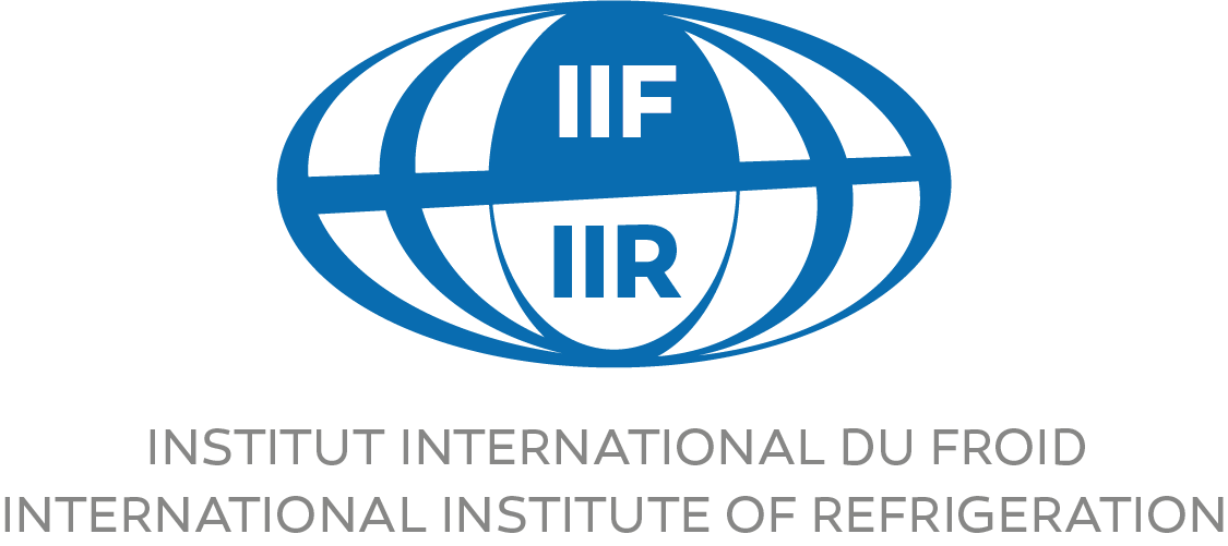 The IIR releases its first Activity Report