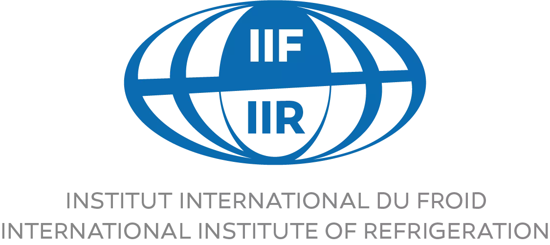 The IIR releases its first Activity Report