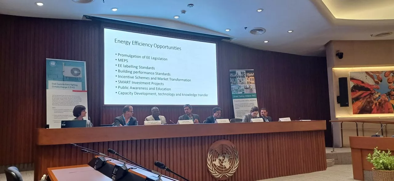 Effective Ways toward Energy Efficiency – OEWG Side Event