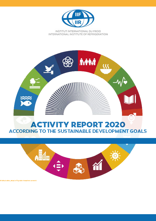 The IIR releases its first Activity Report