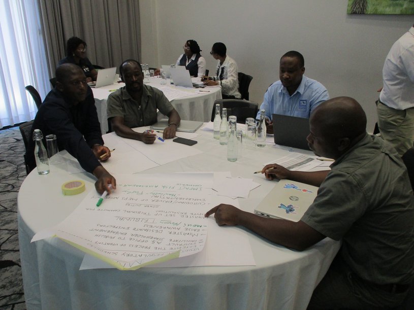Eswatini workshop maps MEPS enforcement chain for air conditioners