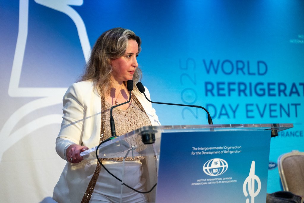 Leading Change at IIR: Yosr Allouche on a Year of Renewal and Global Cooperation