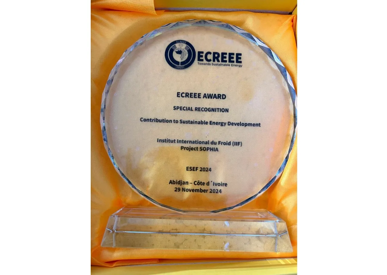 IIR Receives ECREEE Award for Advancing Solar Cooling and Heating in Africa