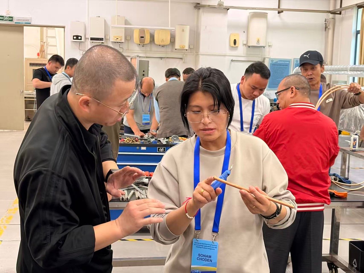 China hosts international training on natural refrigerants in cold storage