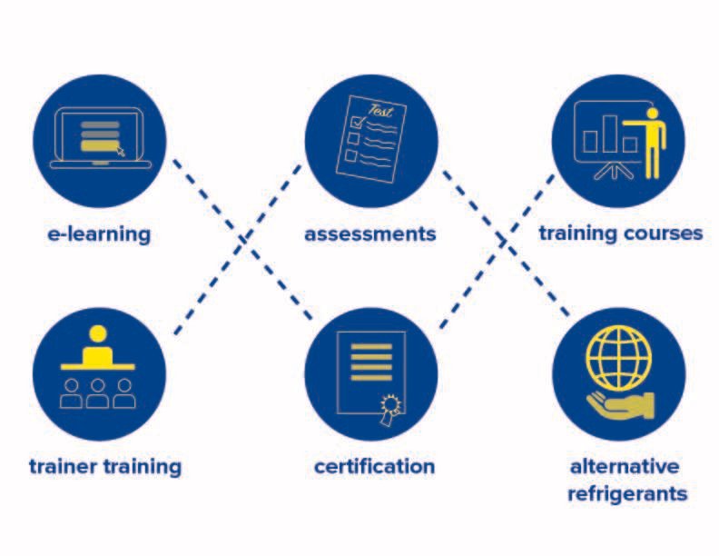 REAL Alternatives 4 LIFE e-learning platform now in 15 languages