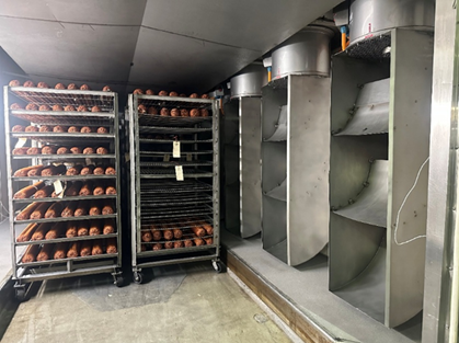 Case Study - Effect of Louvers or diffusers on air flow distribution and cooling time on a meat log during Chill cycle