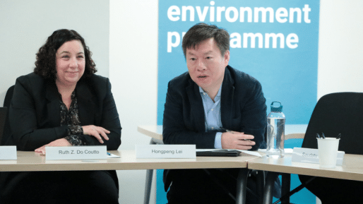 UNEP U4E meeting in Paris highlights global progress on energy efficiency