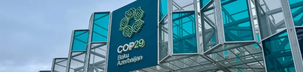 Refrigerants at COP29: Cooling the Venue, Warming the Planet