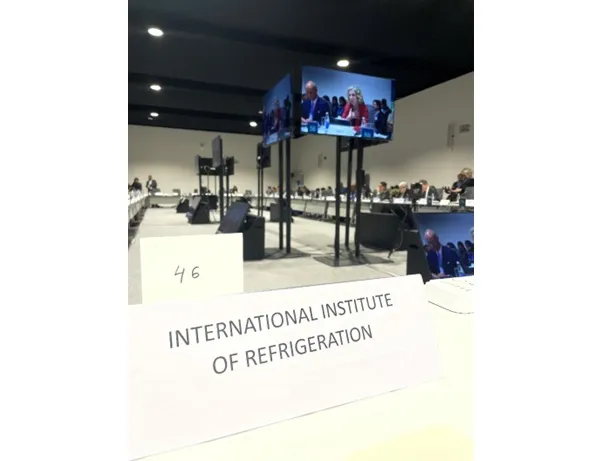 IIR Highlights Role of Refrigeration and Heat Pumps at COP29