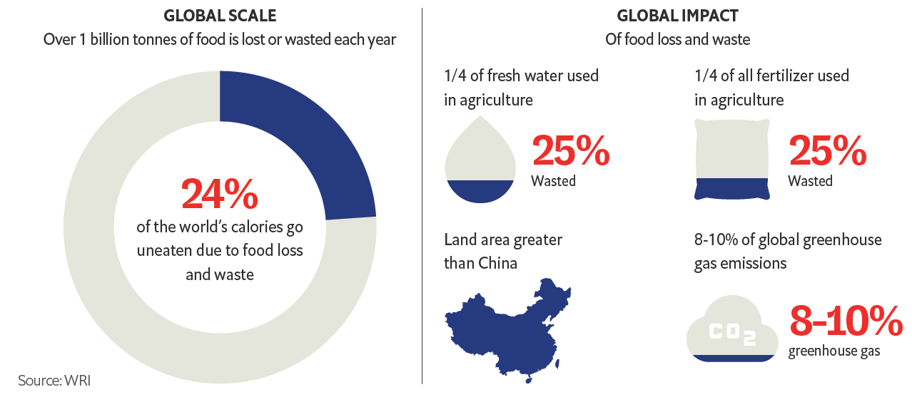 Building Resilient Food Systems: The Role of Agricultural Value Chains in Feeding the Future