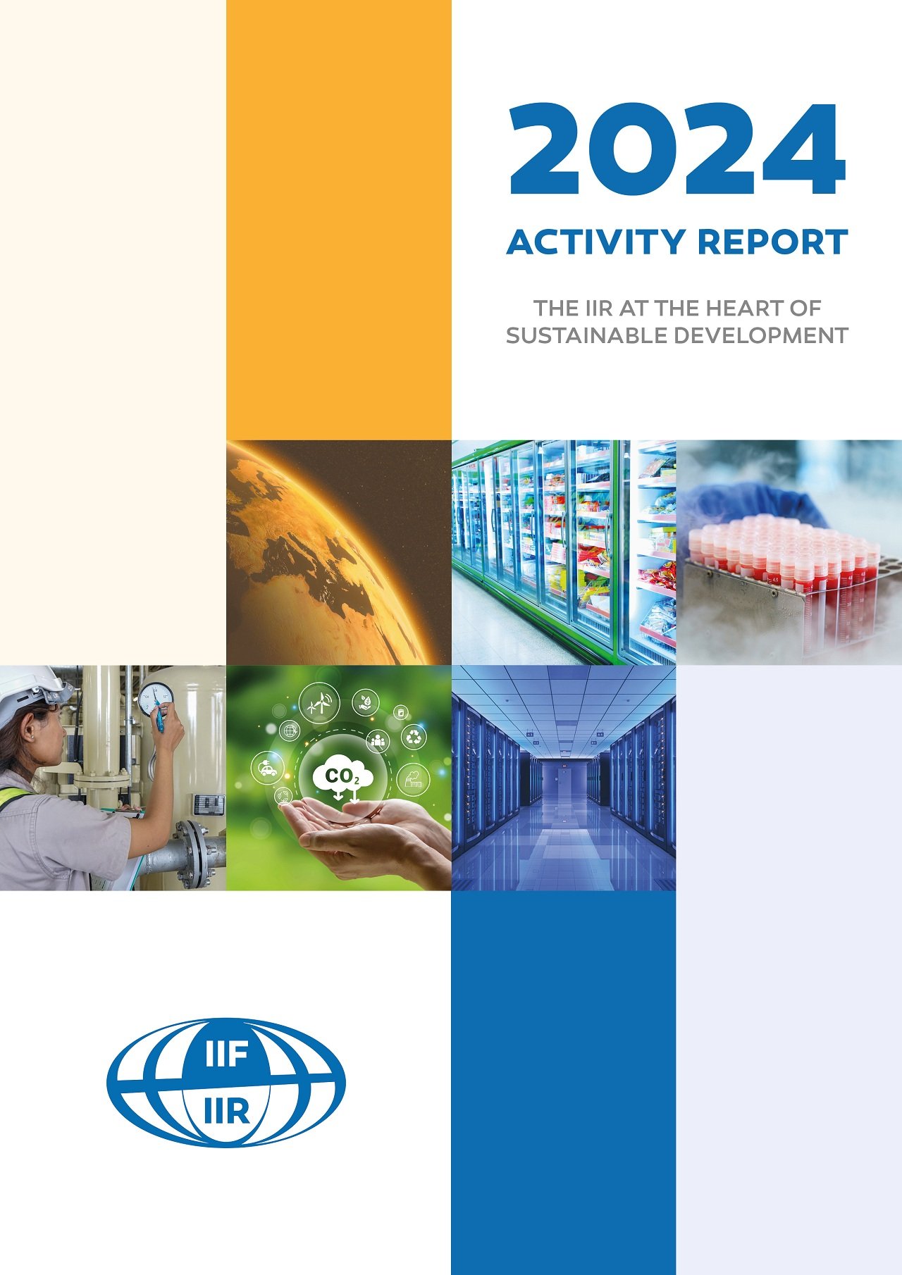 IIR Releases 2024 Activity Report Highlighting Strategic Shift