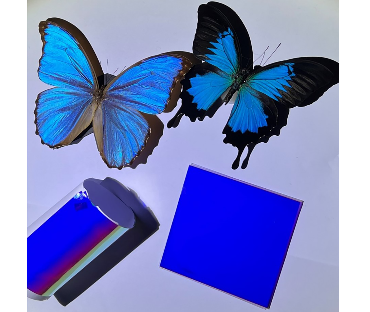 Butterfly-inspired films create vibrant colors while passively cooling objects