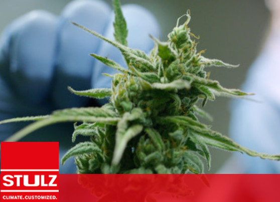Grow Room Webinar Series 2020