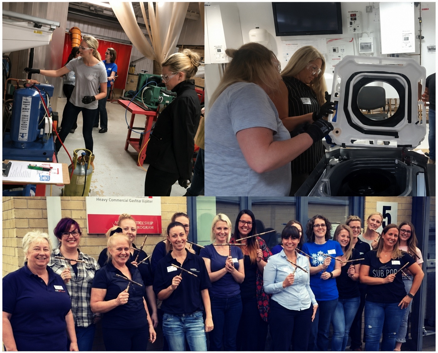 IOR Women in RACHP Network Celebrates Its 10th Anniversary