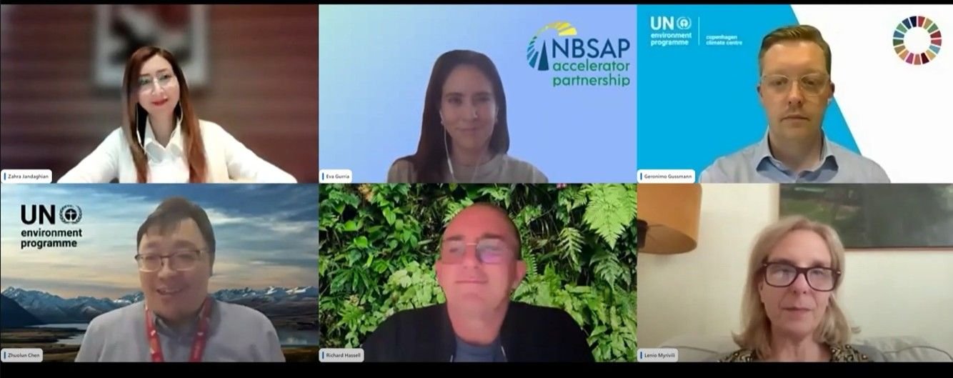 UNEP panel calls for investment in nature-based urban cooling solutions
