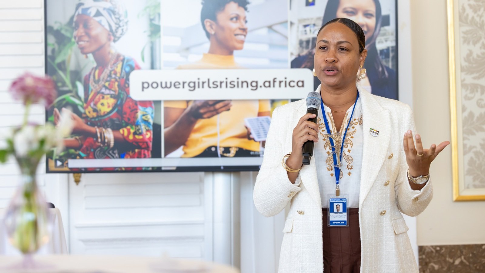 UNIDO forum in Austria advances green industrialization agenda