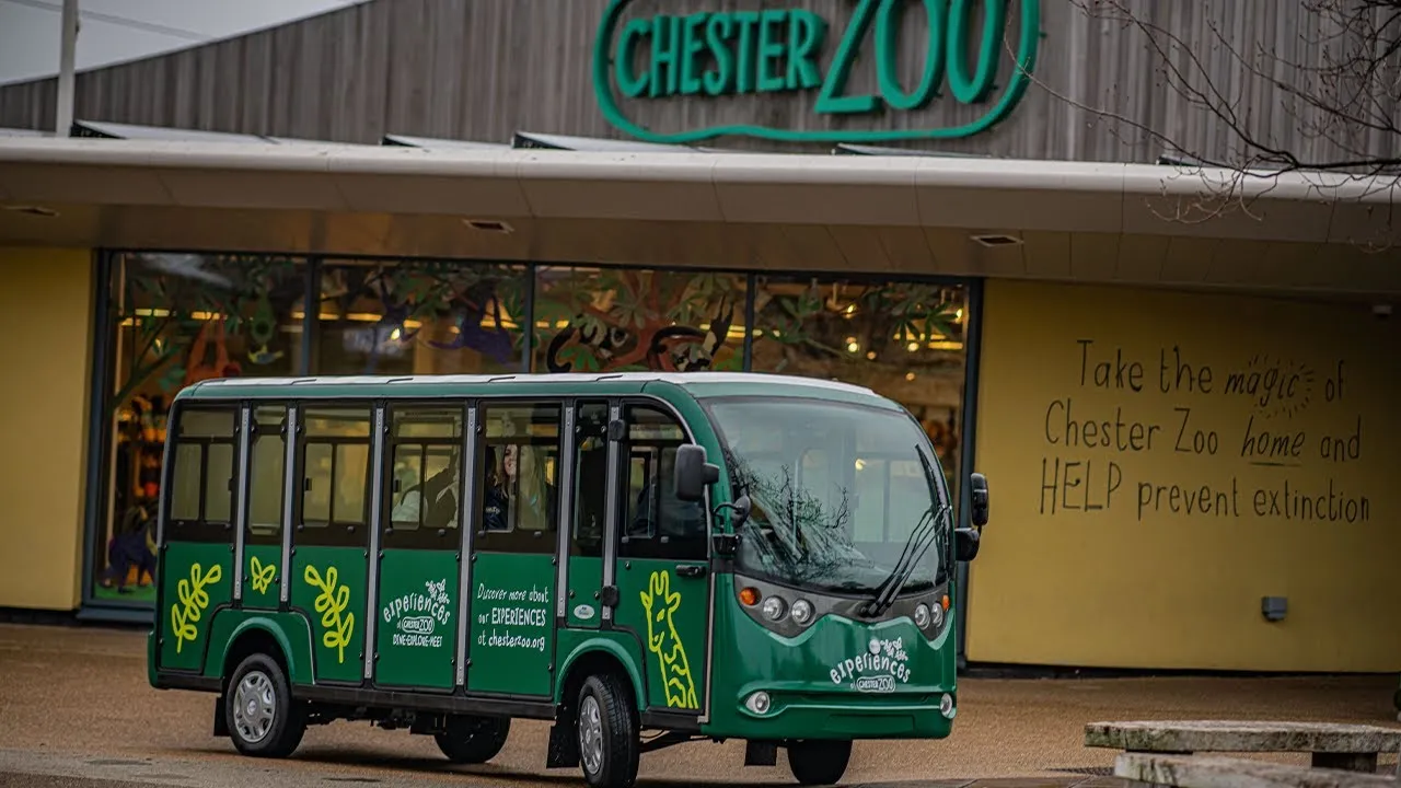Chester Zoo has revealed an sustainable heating collaboration with Mitsubishi Electric