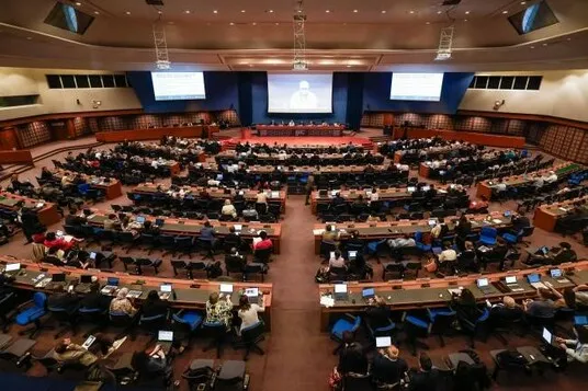 IIR Advocates for Sustainable Refrigeration at COP13/MOP36 and COP29