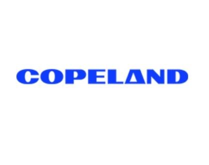 Virtual Peaker Integrates with Sensi by Copeland