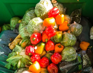 Refrigeration to help halve Australia’s food waste