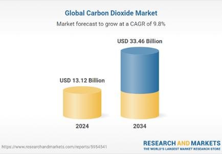 Global Carbon Dioxide Market Outlook and Growth Strategies to 2034
