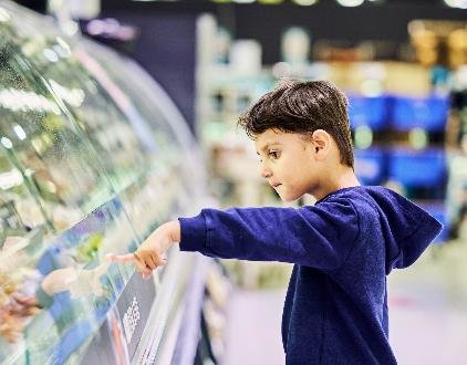 Salling Group and Danfoss collaborate with Microsoft to reduce food loss and energy usage in retail refrigeration