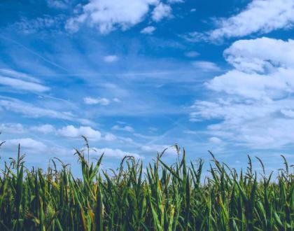 Characteristics, advantages and applications of CO2
