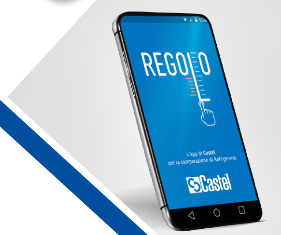 Castel “Regolo-APP” to calculate the relationship between the pressure and temperature