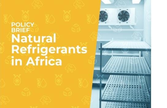Natural refrigerants gain attention in Africa policy brief