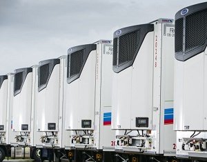 Fowler Welch Adds 45 New Carrier Transicold Vector HE 19 MT Units