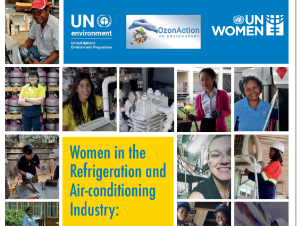 Women in Refrigeration & Air-Conditioning – Stories from Namibia
