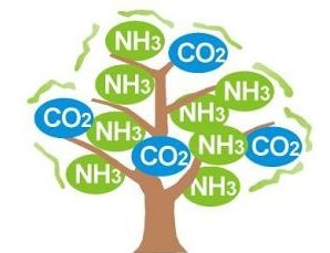 Ammonia and CO2 Refrigeration Technologies 2019